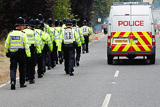 Участники незаконной рейв-вечеринки сломали руку полицейскому и распугали коров