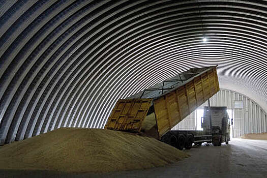 Глава ИКАР Рылько заявил о возможном рекордном экспорте зерна из России