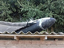 Киев «сдал» скотч: эксперт разоблачил провокацию с «русскими дронами» в Польше