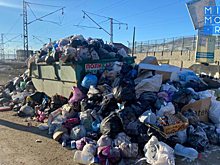 Власть и бизнес: в Махачкале прошел масштабный субботник