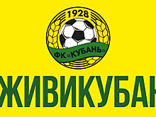 Наш ответ Мутко: Отдайте#Фишт#Кубани