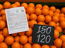 Когда снизятся цены на мандарины? Отменят ли бумажные квитанции за ЖКХ? Какие соцвыплаты защищены от списания за долги?