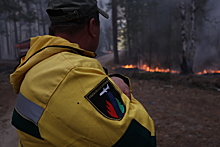 Судья Потапова указала на необоснованные выводы МЧС в деле о лесных пожарах