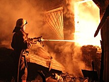 Экс-чиновник из Смоленска заживо сгорел в трейлере в свой день рождения