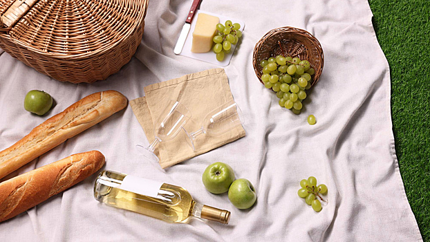 Как правильно перевозить продукты летом, чтобы не пришлось их выбросить