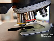 Молодые ученые из Казани и других регионов исследуют арктические микроорганизмы