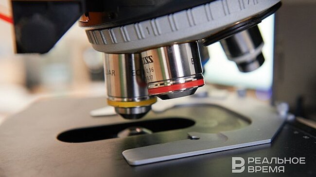 Молодые ученые из Казани и других регионов исследуют арктические микроорганизмы