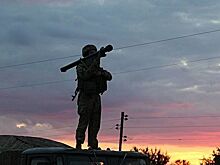 МО РФ заявило об уничтожении под Донецком пяти РЛС контрбатарейной борьбы производства США