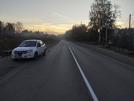 В Завьяловском районе автомобиль сбил пенсионерку-нарушительницу