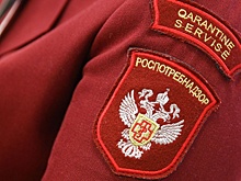 Система «Честный знак» заблокировала продажу 138 тыс. бутылок напитка Aloe Vera