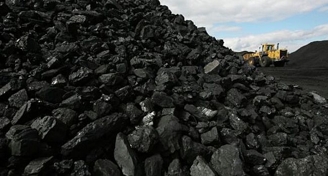 Экс-министр экономики Польши Возняк: новая цена на уголь убивает поляков