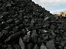 Экс-министр экономики Польши Возняк: новая цена на уголь убивает поляков