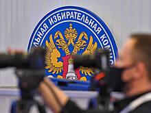 На выборы президента России пригласили наблюдателей из ЦИК Бангладеш