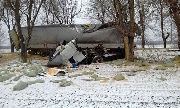 У грузовика оторвало кабину после удара об дерево