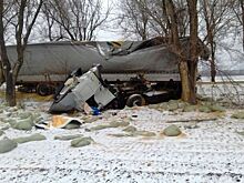 У грузовика оторвало кабину после удара об дерево