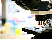 Российский школьник случайно совершил научное открытие