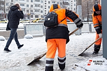 Около 30 дел завели в Петербурге из-за плохой уборки города от снега
