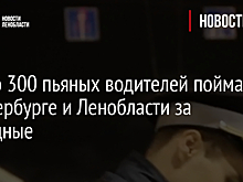 Около 300 пьяных водителей поймали в Петербурге и Ленобласти за выходные