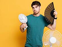 Проще, чем кажется: как выбрать технику для охлаждения комнаты