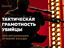 «КиберЛенинка» в марте: о чем говорят кошки с собаками