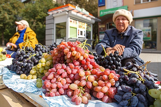 Сезон ярмарок открыт: где в Волгограде купить продукты местного производства подешевле