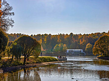 В Царицыне реконструируют Верхний и Нижний Бехтеревские пруды