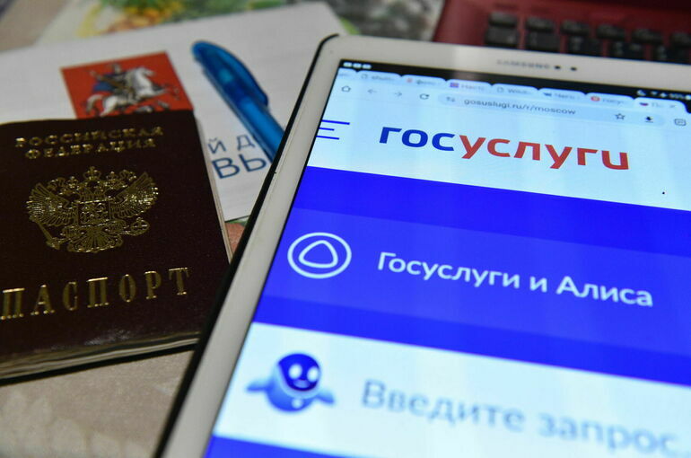 Должники смогут пожаловаться на звонки коллекторов на Госуслугах