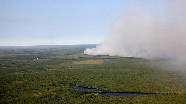 Специалисты «Ямалспаса» потушили возникший из-за грозы лесной пожар в районе Тарко-Сале