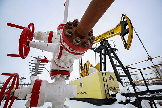 «Роснефть» будет поставлять нефть в Германию по «Дружбе»