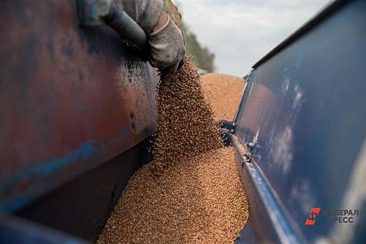 Правительство просят ввести пошлину на экспорт зерна