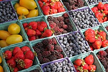 НДС для фруктов и ягод в России снижается вдвое Подробнее: https://www.vestifinance.ru/articles/125859