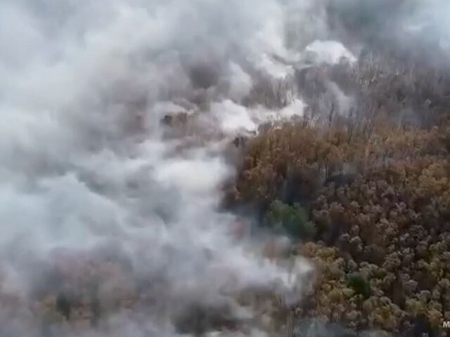 Огнеборцы потушили 63 природных пожара в РФ 18 мая