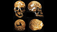 Древний череп с Тайваня подтверждает старинную народную легенду
