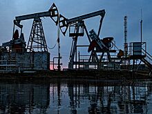 В Японии раскрыли преимущества России в нефтяной войне