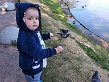 В Калининграде закрыт сбор денег для трёхлетнего мальчика с лимфомой