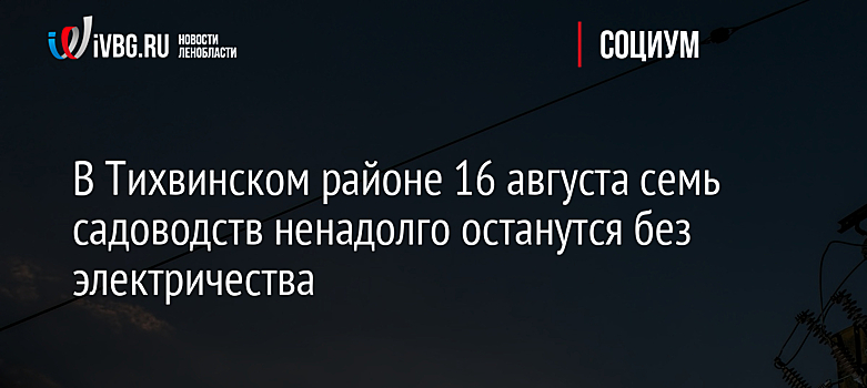 В Тихвинском районе 16 августа семь садоводств ненадолго останутся без электричества