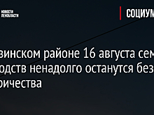 В Тихвинском районе 16 августа семь садоводств ненадолго останутся без электричества