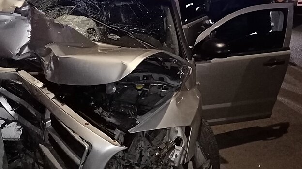 На улице Гагарина в Пензе Dodge влетел в столб