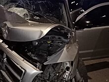 На улице Гагарина в Пензе Dodge влетел в столб