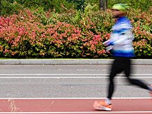 Набережную канала имени Москвы в САО модернизировали