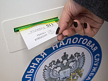 Число самозанятых, платящих налоги, достигло почти 70 тысяч человек