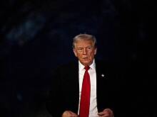 В США заявили о способности Трампа продавить отказ Украины от НАТО