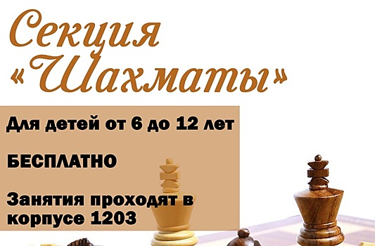Зеленоградцы в возрасте от 6 до 12 лет могут бесплатно записаться в секцию по шахматам