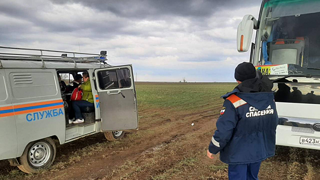 Автобус с туристами, приехавшими любоваться на куриловские тюльпаны, застрял в грязи