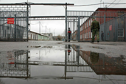 Глава ФСИН заявил о росте числа заключенных-иностранцев