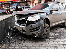 Хитрый гусь инсценировал автоподставу