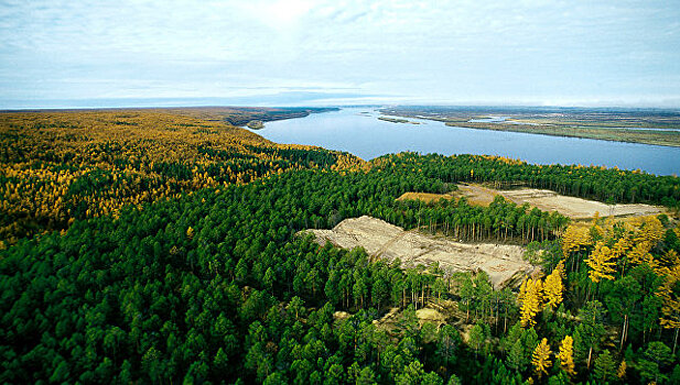 В Якутии завершили проектирование национального парка "Кыталык"