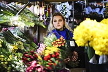 В Поморье объем поддержки малого бизнеса вырастет в девять раз