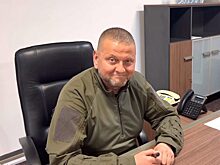 «Лента.ру»: главкома украинской армии Залужного показали живым в онлайн-эфире