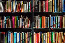 В библиотеке № 121 Южнопортового определили топ-5 книг за неделю